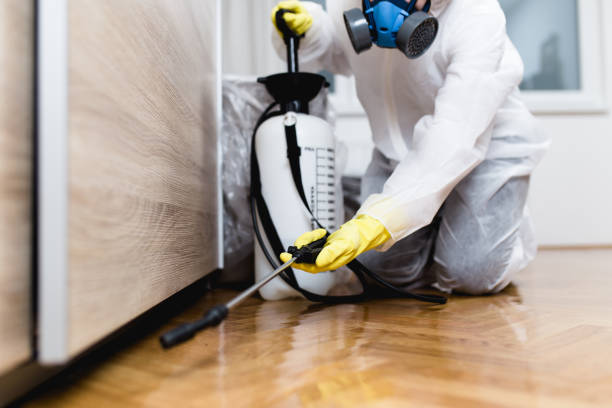 Best Pest Prevention Services  in Lebanon, MO