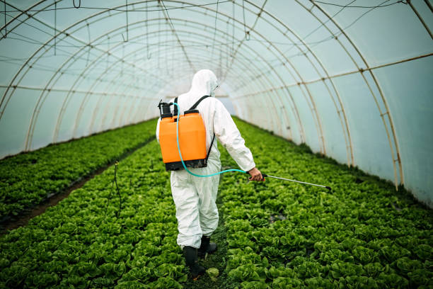 Best Pest Inspection Near Me  in Lebanon, MO