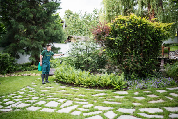 Best Exterminator Services  in Lebanon, MO