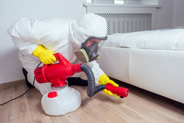 Flea Control Services in Lebanon, MO
