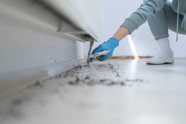 Best Best Pest Control Companies  in Lebanon, MO