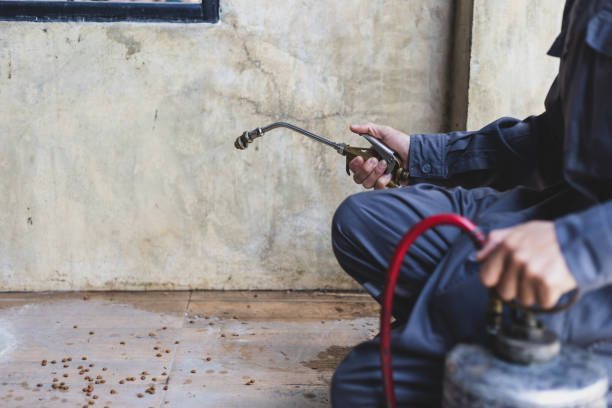 Best Best Pest Control Companies  in Lebanon, MO